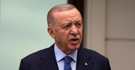 Туреччина хоче перезапустити Стамбульський процес щодо України — заява Ердогана
