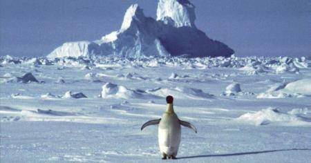 a95067a22bba6dc85a2f96e93b61ffd5_07.01.26