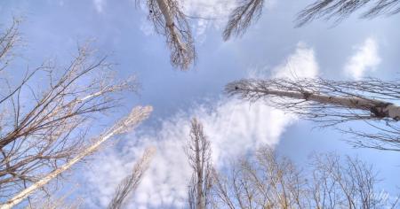 Гороскоп на 27 листопада для всіх знаків зодіаку: день, коли потрібно усвідомити свої помилки