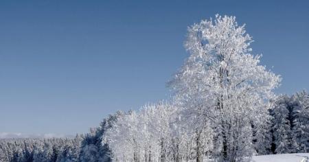 adf8a44182c0c612eae00f159d82ad87_01.01.26_1