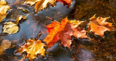 af2f5e6533b9c76057336e17a30bbbc4_20.10.25