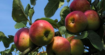 b47b6c17bc7ab14b30d723806b301988_23.11.25