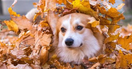 b55c66e9995c6f5935668d20e1ede2de_05.11.25