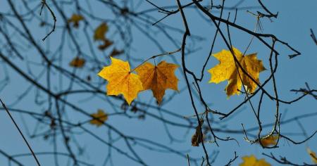 b5b0b9d6a762576a6071c8dbbe4ec7a9_21.11.25