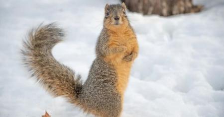 b5f00cf02c40a018896f3ca7f1475c03_24.12.25_1