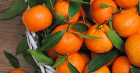 b73dfcb1fe8a8455abaf3973a8852788_18.12.25_1