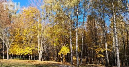 b7941f0cb148aba2e0e71bcc12106c90_25.10.25