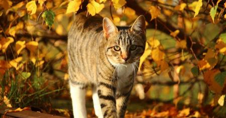 b80d491448a339da726e6e55b345721e_12.10.25