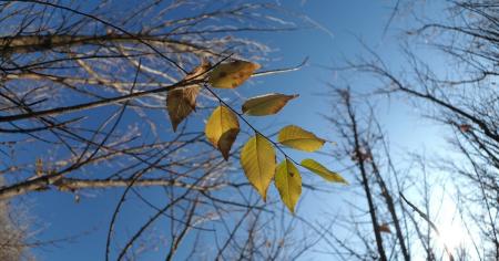 Погода на 27 листопада: де буде дощ та нічний мороз