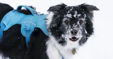 bcc17895340cad9429e1d277ca6aa989_09.11.25