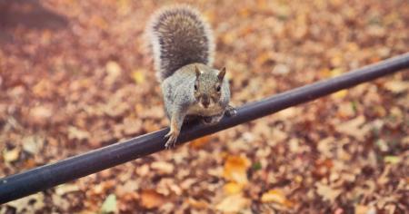 bce1422f5adb9f8a8dac0a9f6f1d8e01_13.11.25