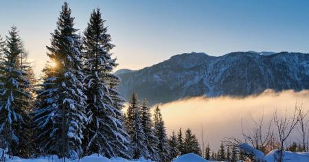 bcf510d0caf3703429de9b8306075bd2_07.11.25