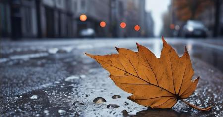 bed30f271e172b640279f9d85cb90697_24.11.25