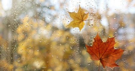 Погода у вихідні 15–16 листопада: де потеплішає, а де знову пройдуть дощі