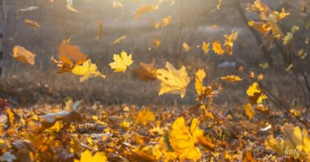 Гороскоп на 4 листопада для всіх знаків зодіаку: один із найуспішніших і найщасливіших днів місяця