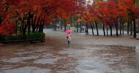 c12f0be4de3541d80df689fb86b4b99f_24.10.25