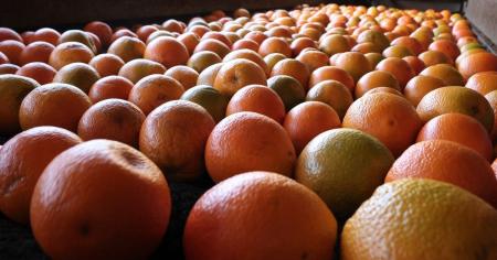 Захист організму у холод: що потрібно їсти