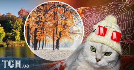 c4096ef97657ce837036d57a633036be_23.10.25