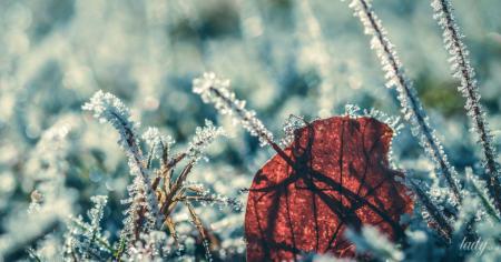 c59fd2fd7b85bcee5bb2c20010c85c69_18.11.25