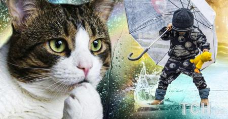 c841c026821f7eb26672b491d48865bb_17.10.25