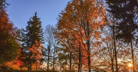 c87b2ec940ada86f06dcfb834c4a2016_20.10.25