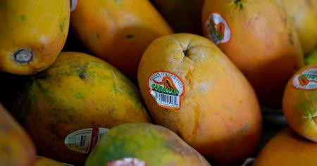 П’ять фруктів з найвищим вмістом вітаміну С — це не апельсин і не лимон