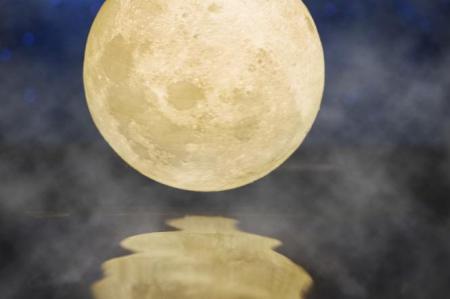 ca68367d4294a0b5302d4684b64c4097_665x442_25.01.26