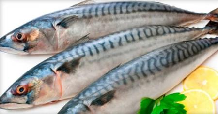 ca9fe67039c629b3bbbf9d616fa0d2bd_31.12.25_1