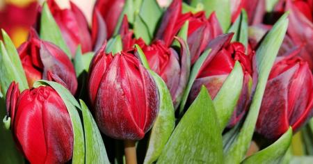 cae197483cd56442844609897edebaa5_21.10.25