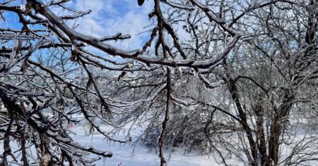 cc1e52cf3b5e0af8bdc1fd8632636d84_13.01.26