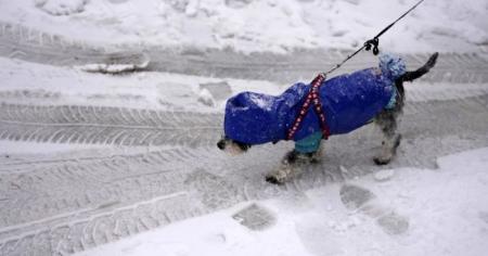 cc6da8fc7b9ef7f4be7105707976b5da_31.12.25_1