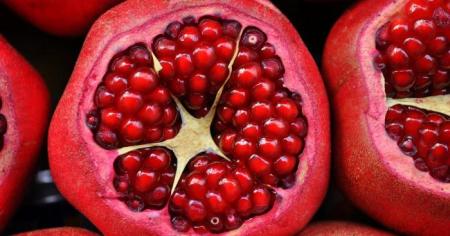 cdc251e5d2d959627585b0f01576e522_26.01.26_1