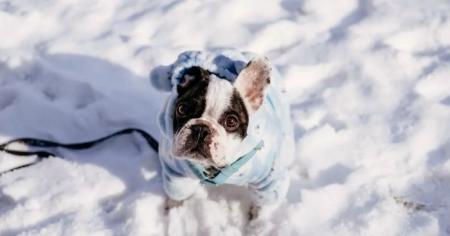 ce7b4a4543828c144565564a383948e3_17.01.26_1