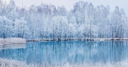 ced2cfcbf1e0a9125661764332da1cfd_03.01.26