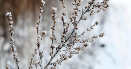 cfb9d7913020d4068f129c034b8feda9_04.01.26_1