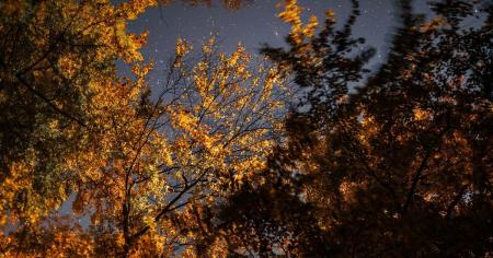 Якою буде погода в Україні на вихідні, 1-2 листопада: синоптики здивували прогнозом