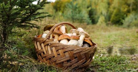 d3cd5eba067c09d37b5538152aabcc12_06.11.25