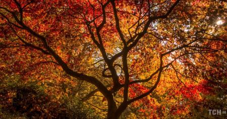 Гороскоп на 27 жовтня для всіх знаків зодіаку: день, коли можемо переоцінити власні сили