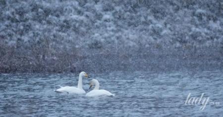 d8cef1fdecab33cc969971d60e1617cc_05.01.26_1