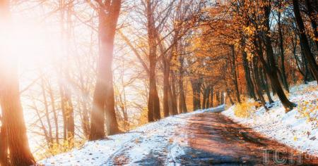 Гороскоп на 28 листопада для всіх знаків зодіаку: день, коли легко стати жертвою агресії