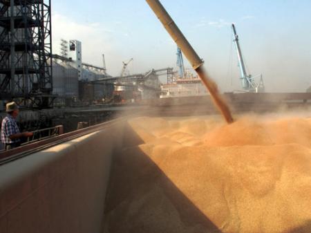 Через 5 років Україна буде експортувати 50 млн т зерна