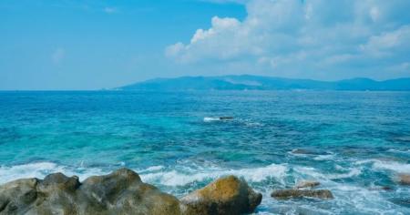 dc678103553f83d6955a3f0036c47ff5_27.01.26_1