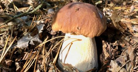 dde30d1075a85cb150cf9f2fd281d920_17.10.25