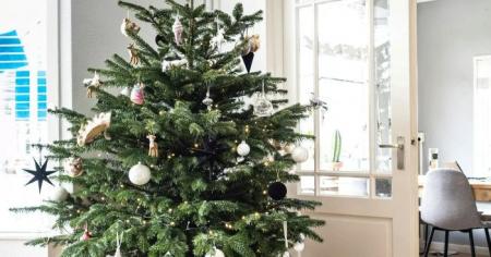 df589ac8ac4ba46fdfd0eb76e2f95509_25.12.25_1