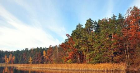 Погода в листопаді: прогноз на останній місяць осені