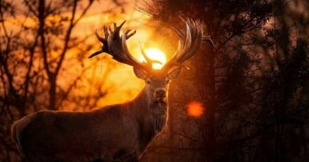 e1186917fa49be8d36dd889a2405530b_09.02.26_1