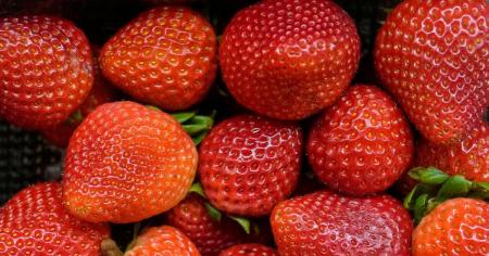 e129bd676aaa543b709068f8d559922c_28.10.25