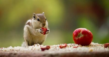 e19d4be2c32d99278a86b8b967b27b8b_17.10.25