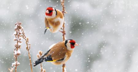 e4446d3b473bb19c16e8029927decd03_24.01.26