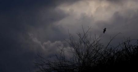 e47ac9f08bc6ca9a177251e4f6c0168d_13.12.25_1